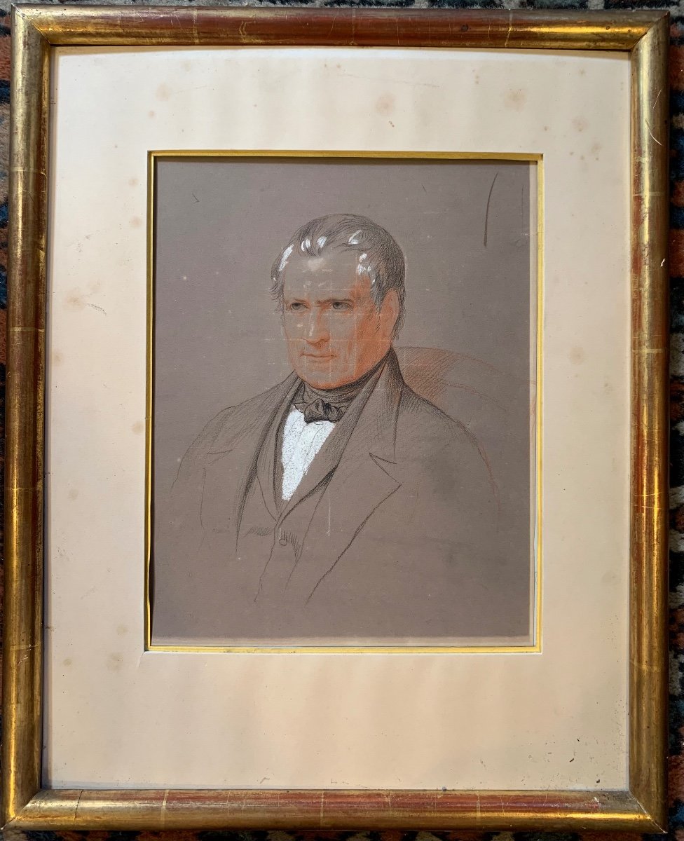 Drawing By Professor Henri Ducrotay De Blainville, Early 19th Century
