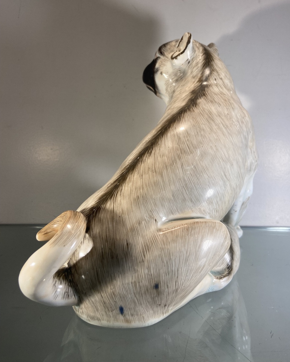 Pug And His Puppy In Saxon Porcelain, 19th Century Or Earlier-photo-4