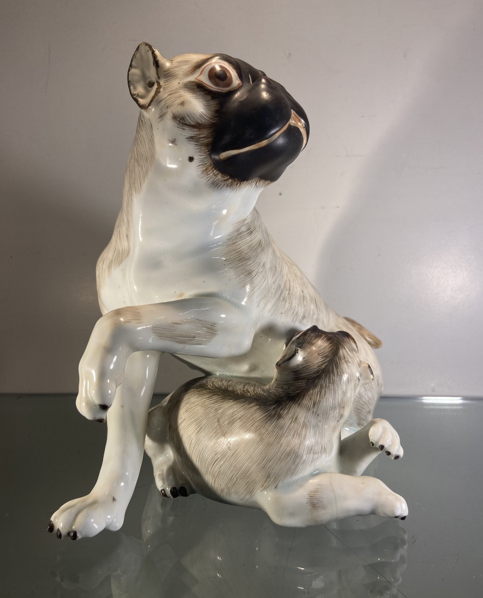 Pug And His Puppy In Saxon Porcelain, 19th Century Or Earlier-photo-3