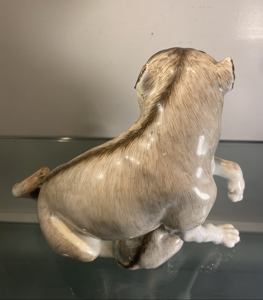 Pug And His Puppy In Saxon Porcelain, 19th Century Or Earlier-photo-5