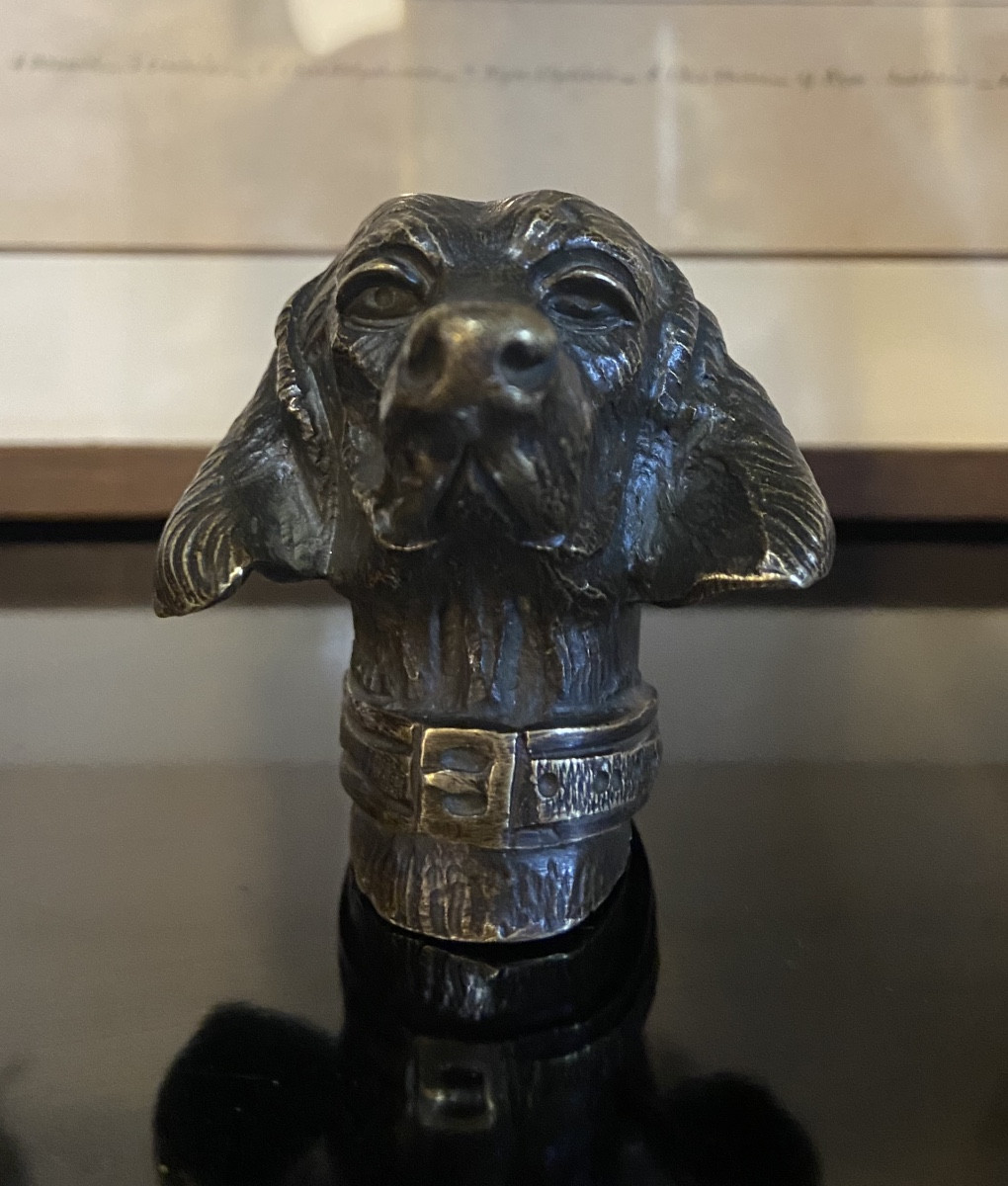 Petite Tête D'Epagneul En Bronze, Epoque Fin XIXe