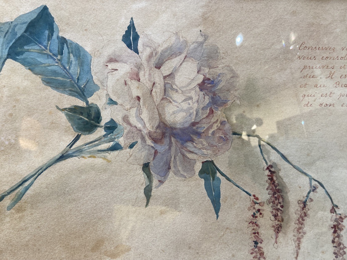 Paire D'Aquarelles Florales Par Marie Fournier Del Florido, Epoque Fin XIXe-photo-2