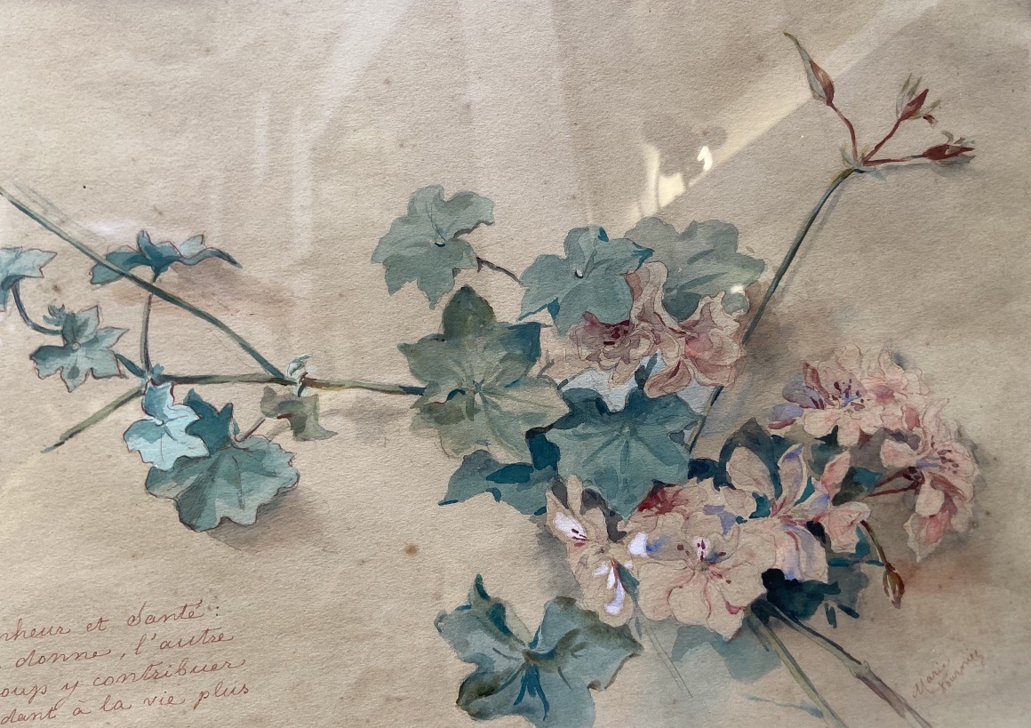Paire D'Aquarelles Florales Par Marie Fournier Del Florido, Epoque Fin XIXe-photo-3