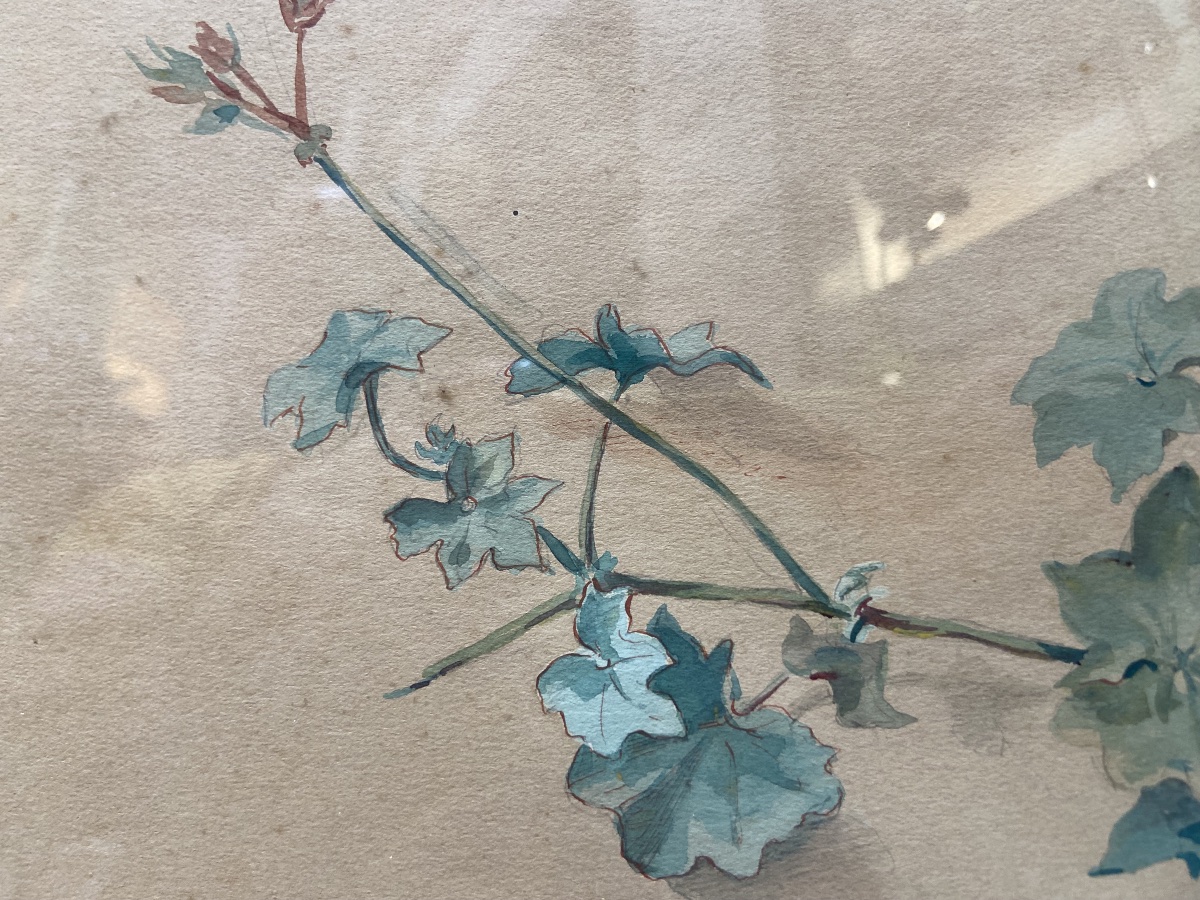 Paire D'Aquarelles Florales Par Marie Fournier Del Florido, Epoque Fin XIXe-photo-4