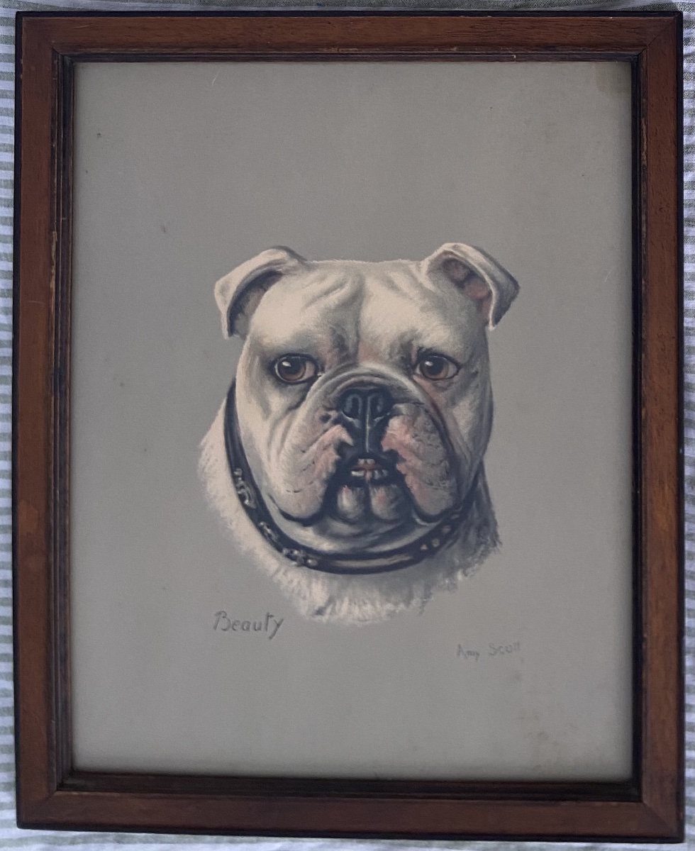 Amy Scott Estampe Couleur Portrait De Bulldog Anglais, Epoque Fin XIXe/Début XXe