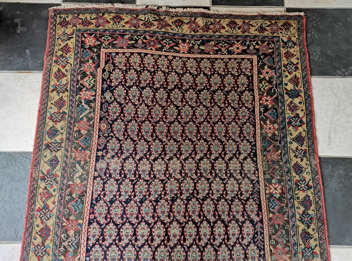 Tapis Senneh D'Iran, Laine, Epoque Fin XIXème/Début XXème-photo-1