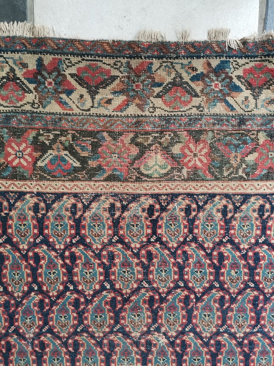 Tapis Senneh D'Iran, Laine, Epoque Fin XIXème/Début XXème-photo-2