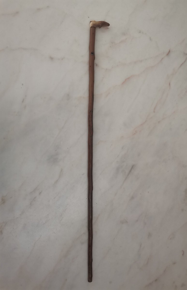 Canne Pommeau Chaussure Ivoire, Epoque XIXème-photo-4