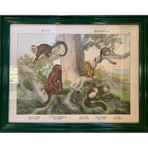 Series Of 7 German Animal Engravings, Late 19th Century