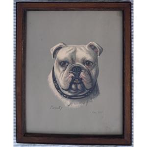 Amy Scott Estampe Couleur Portrait De Bulldog Anglais, Epoque Fin XIXe/Début XXe