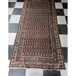 Tapis Senneh D'Iran, Laine, Epoque Fin XIXème/Début XXème