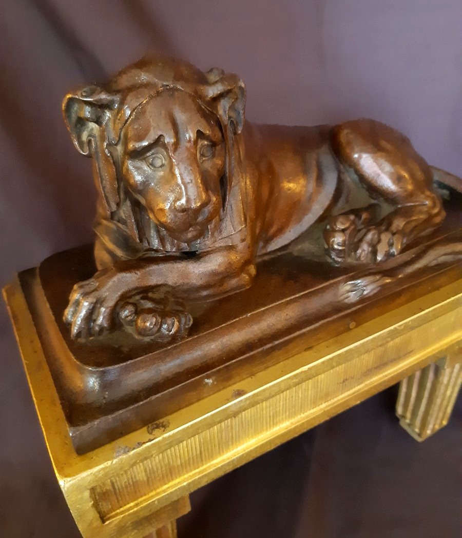 Paire de "feux" aux lion et lionne d'époque Louis XVI-photo-4