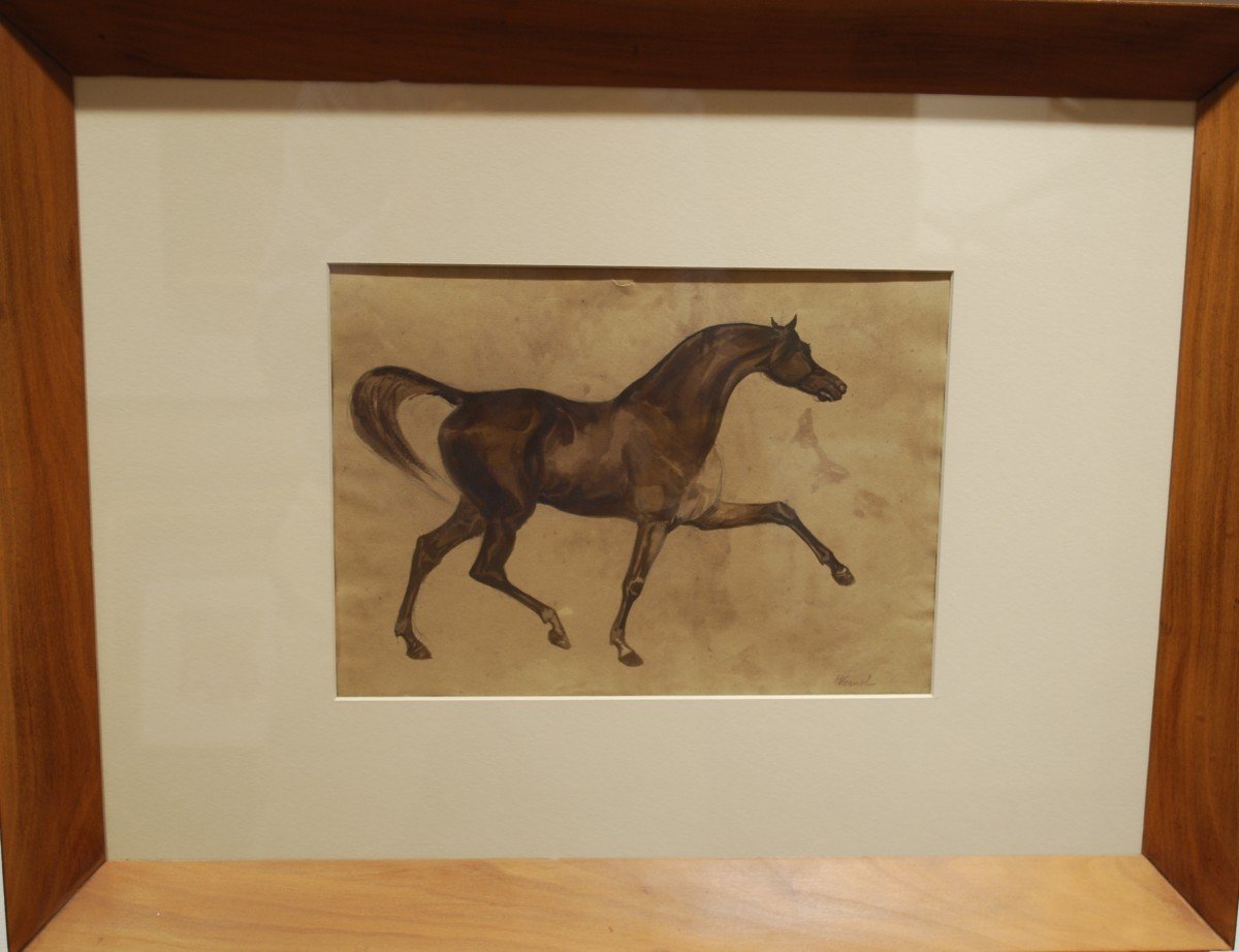 étude de cheval au trot
