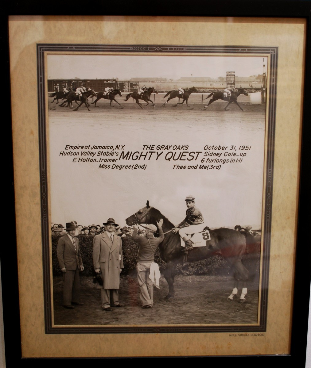 Start Of The Race Mighty Quest-photo-3