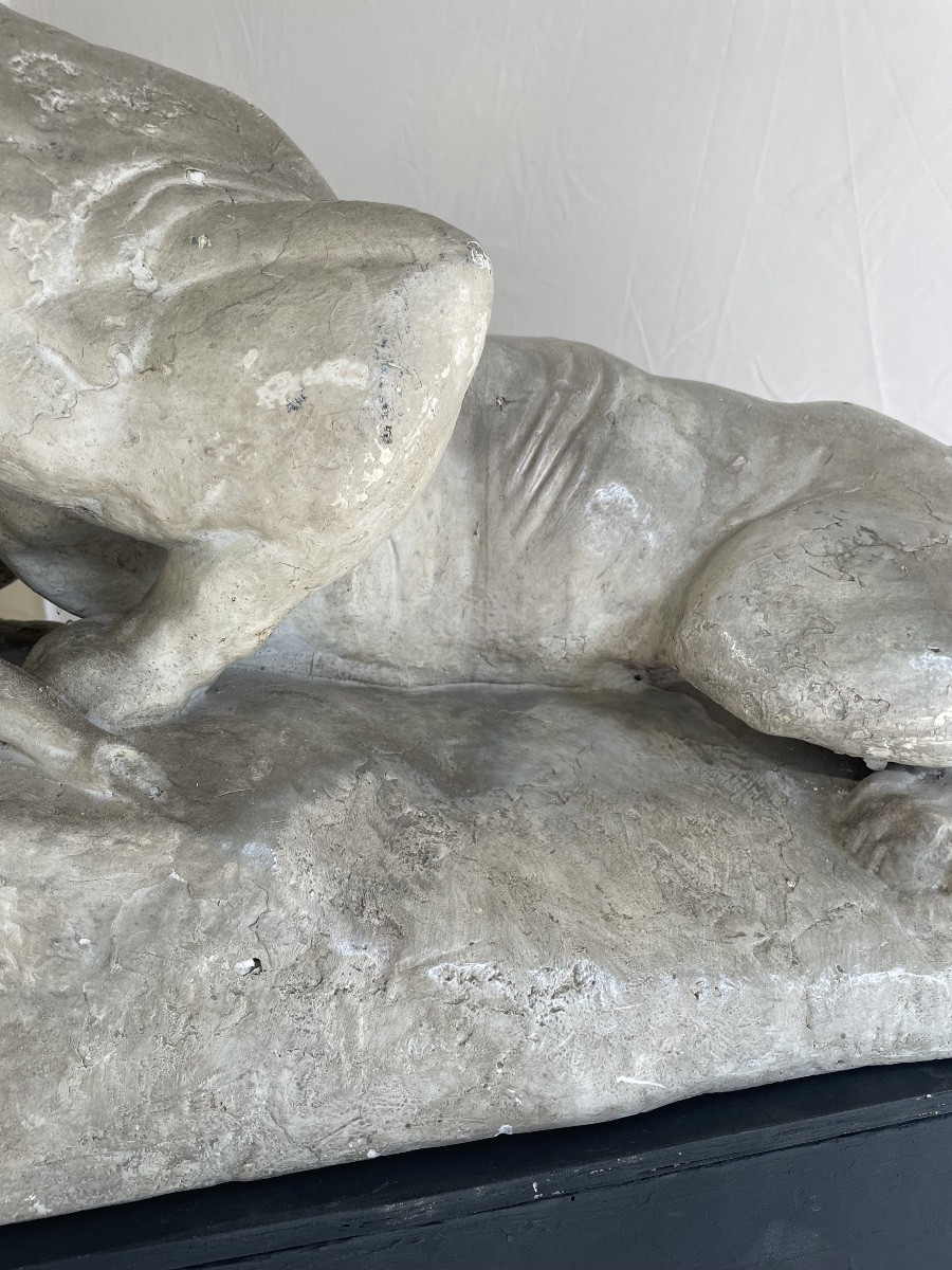 Antoine-Louis Bary, panthère dévorant un lièvre, moulage en plâtre du Louvre -photo-2