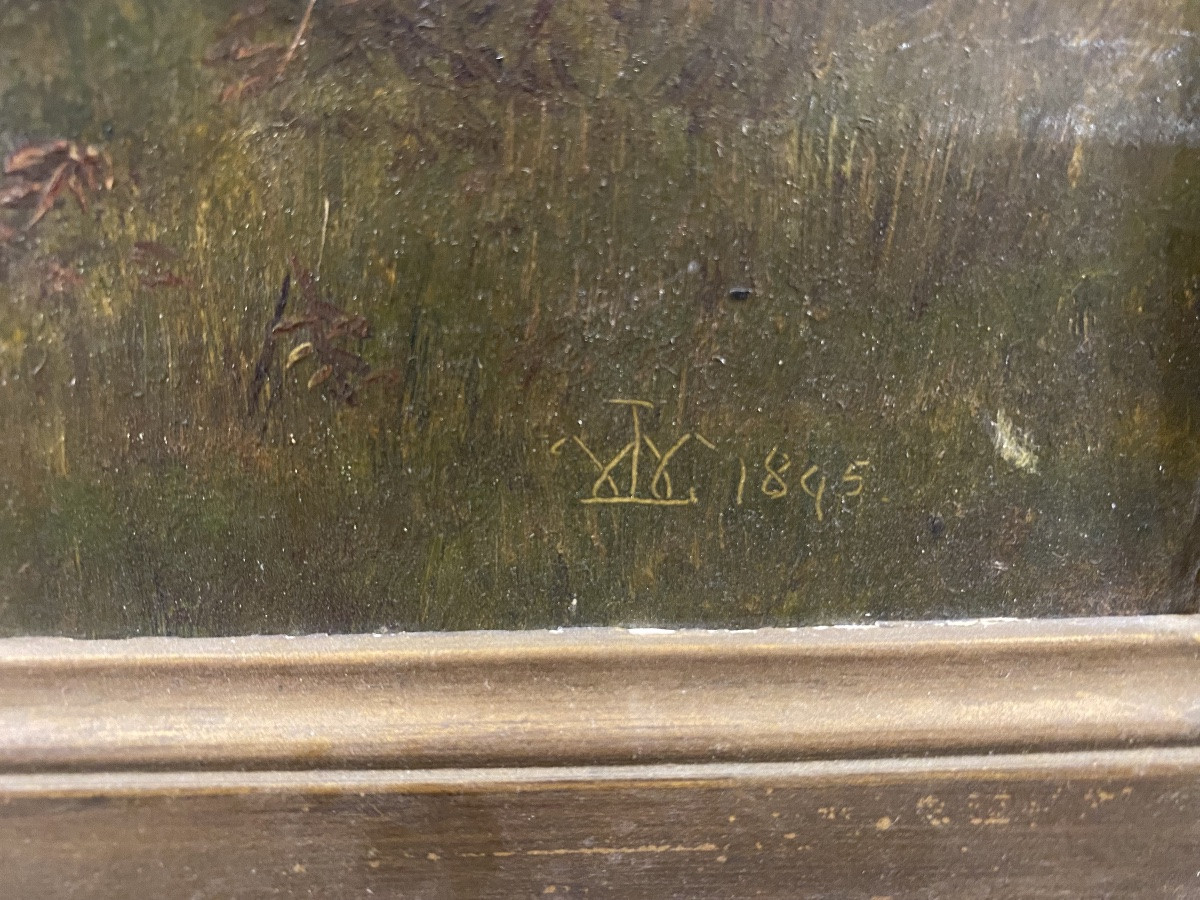 Hsc , troupeau de vaches Highlanders au pré, Écosse  fin XIX-photo-4