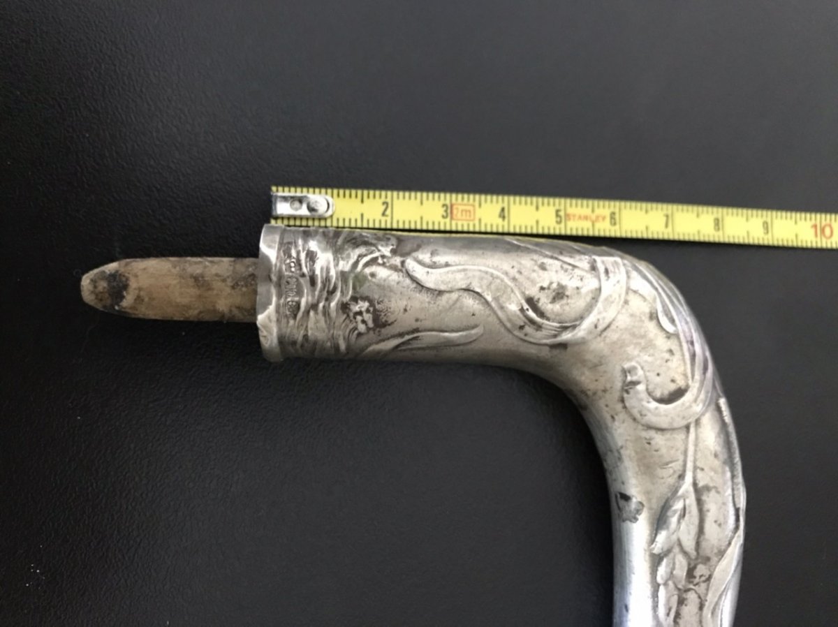 Pommeau de Canne en Argent-photo-3
