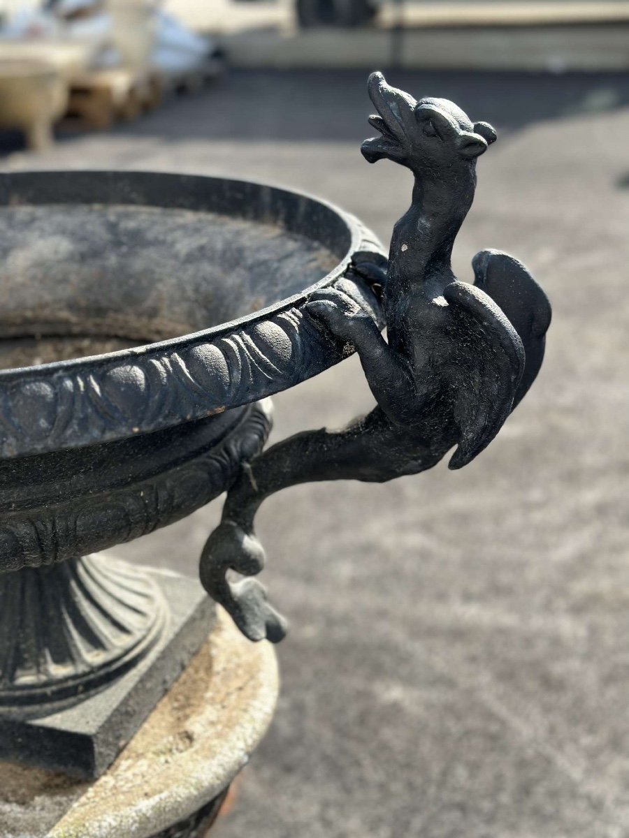 Cast Iron Basin XIX-photo-3