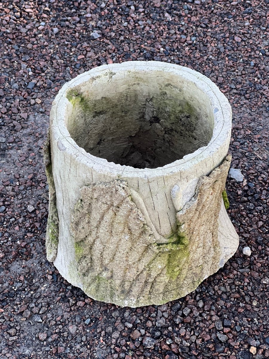 Concrete Pot Series. Fake Wood-photo-2