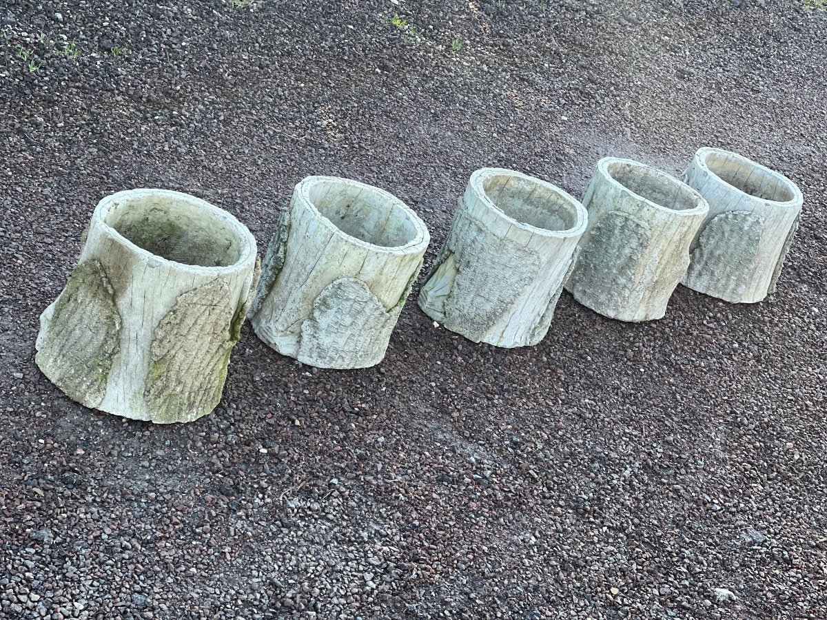 Concrete Pot Series. Fake Wood-photo-3