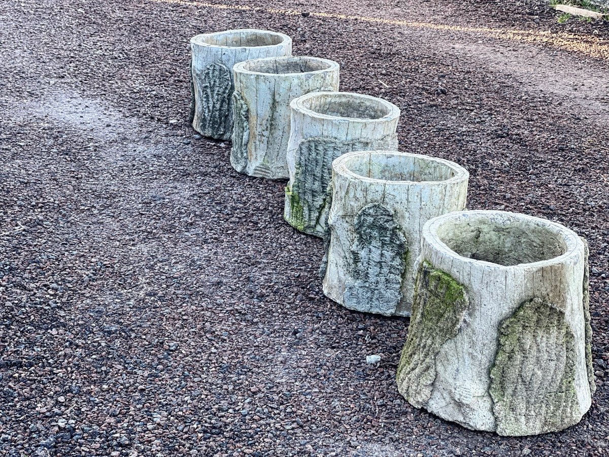 Concrete Pot Series. Fake Wood