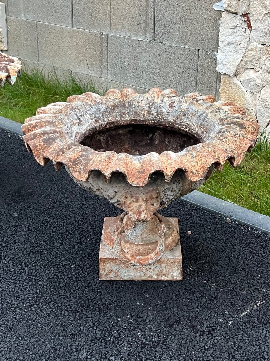 Pair Of XIV Cast Iron Vases-photo-3