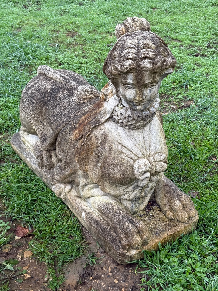 Paire sphynge sphinx -photo-4