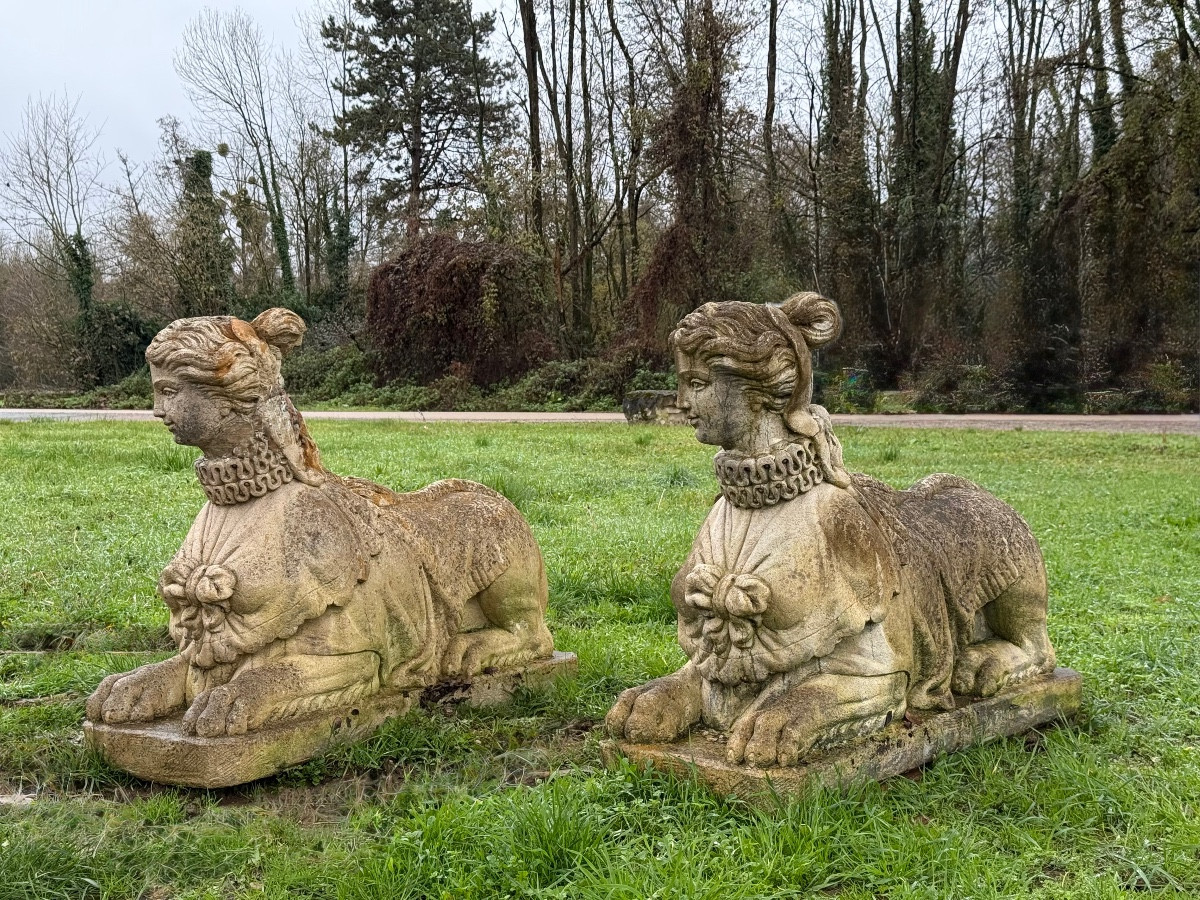 Paire sphynge sphinx 