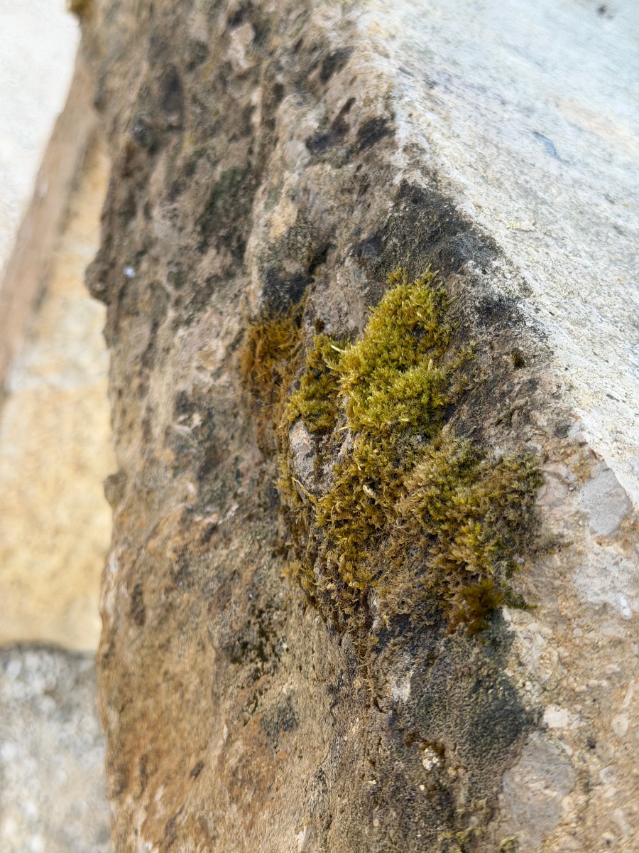 Console en pierre XIX -photo-4