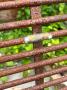 1202849-651af6c45ff82.jpg