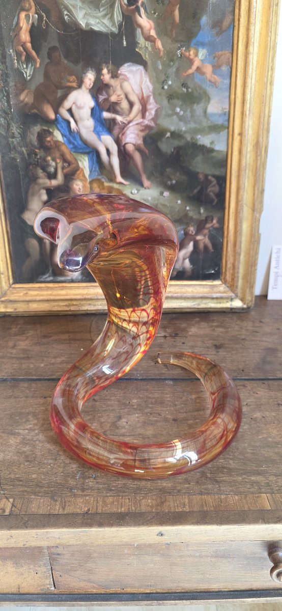 Submerged Glass Cobra-photo-2