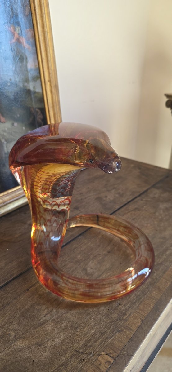 Submerged Glass Cobra-photo-3