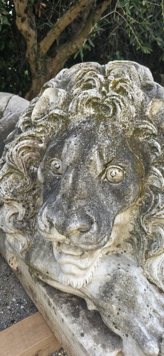 Majestic Monumental Pair Of Lions Carved From Carrara Marble-photo-2