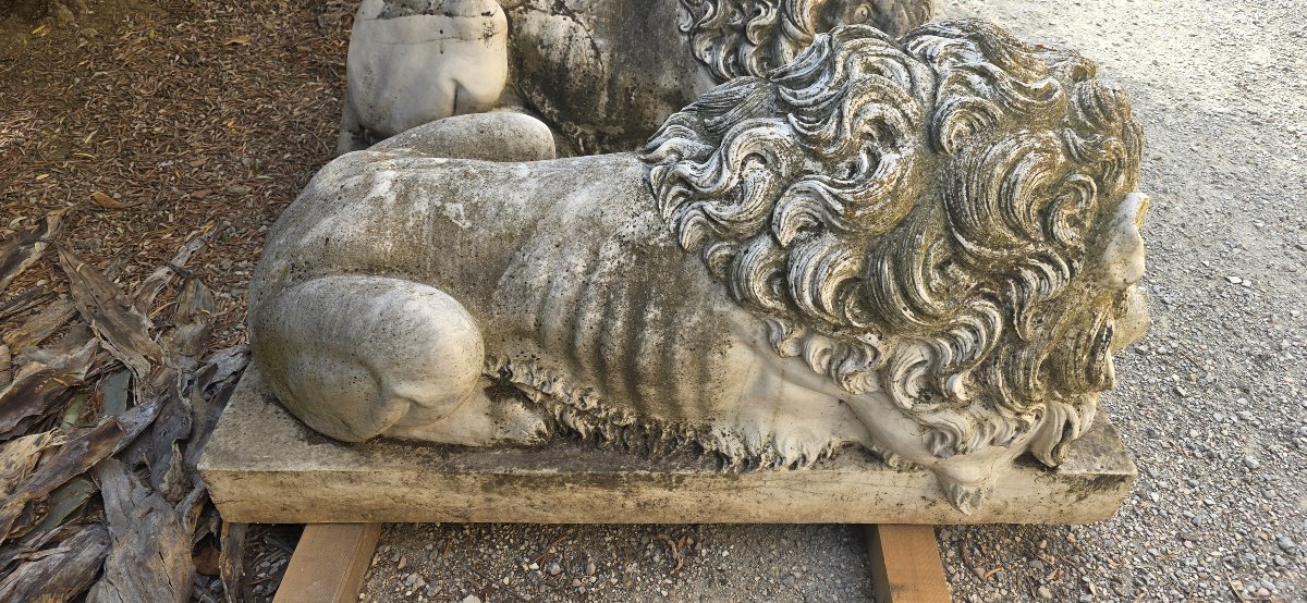 Majestic Monumental Pair Of Lions Carved From Carrara Marble-photo-3