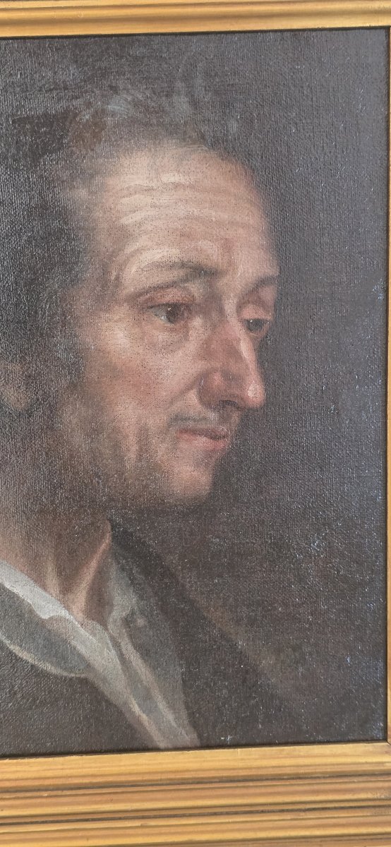 Portrait Of A Philosopher In Profile - Attributed To Antonio Amorosi (1660–1738) - Oil On Canvas, 17th Century-photo-4