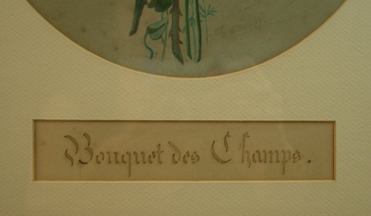 Paire d'aquarelles naturalistes du XIXe siècle , Fleurs, Bouquet des champs et des jardins-photo-6