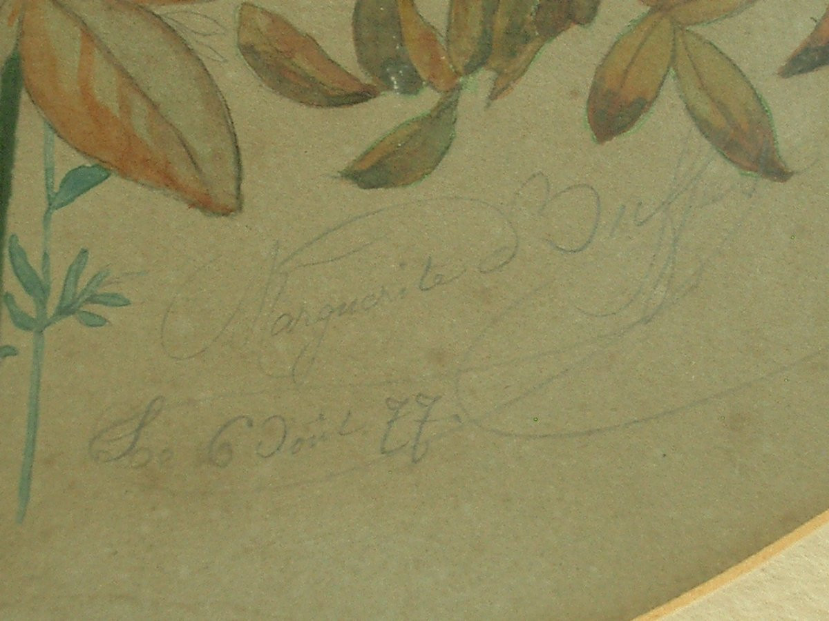 Paire d'aquarelles naturalistes du XIXe siècle , Fleurs, Bouquet des champs et des jardins-photo-8