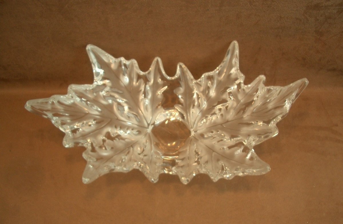 Grande coupe en cristal Lalique modèle Champs-Elysées-photo-1