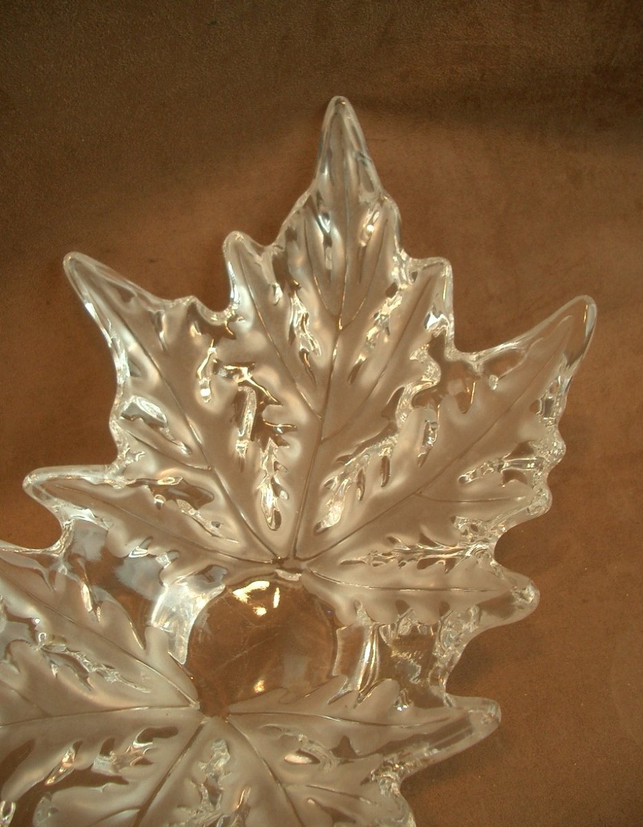 Grande coupe en cristal Lalique modèle Champs-Elysées-photo-3