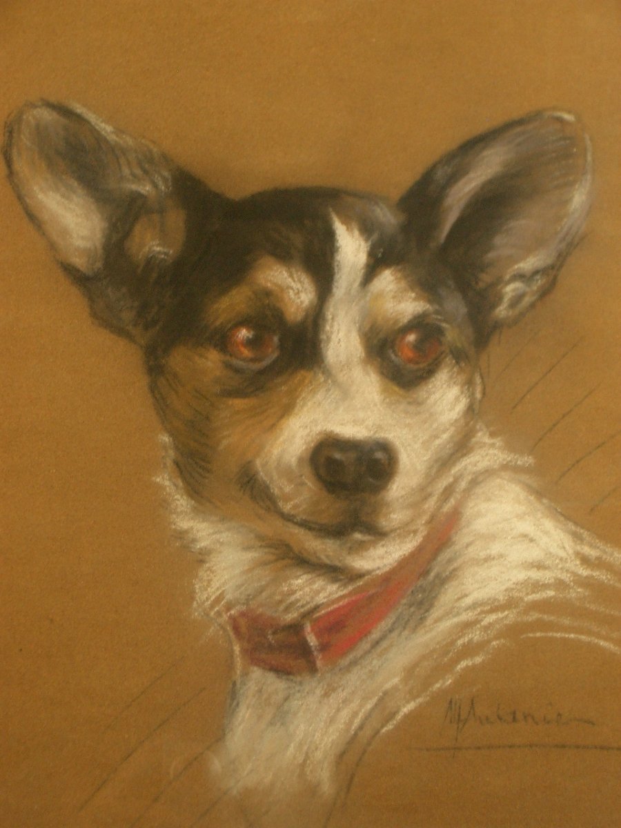 Pastel Drawing Portrait Of A Jack Russell Dog, Signed -photo-4