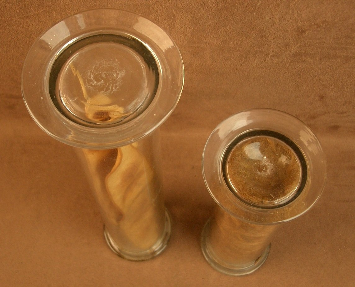 2 Tubes en verre , contenant des végétaux , herbier pour cabinet de curiosité -photo-4