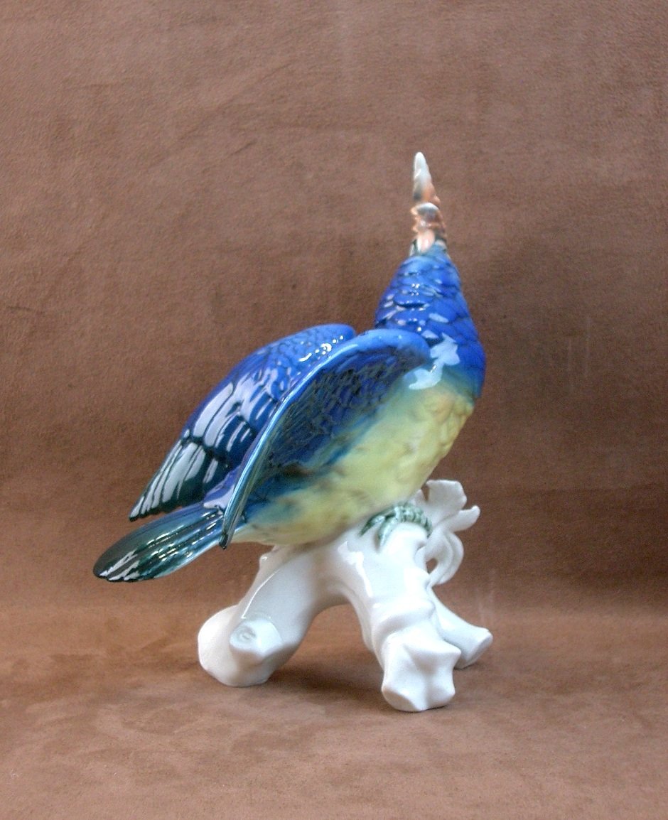 Important oiseau Perroquet en porcelaine de Saxe Karl Ens-photo-3
