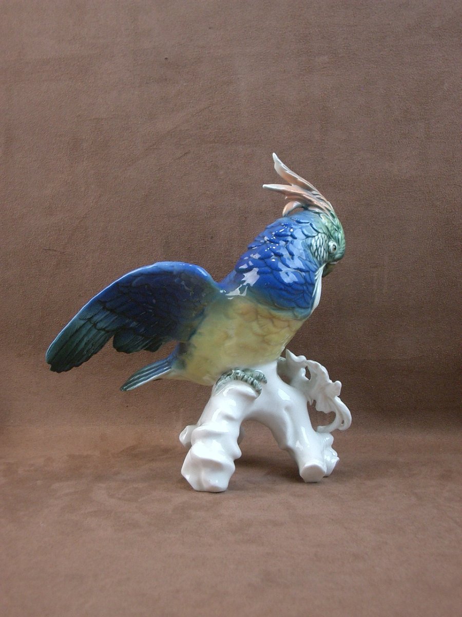 Important oiseau Perroquet en porcelaine de Saxe Karl Ens-photo-4