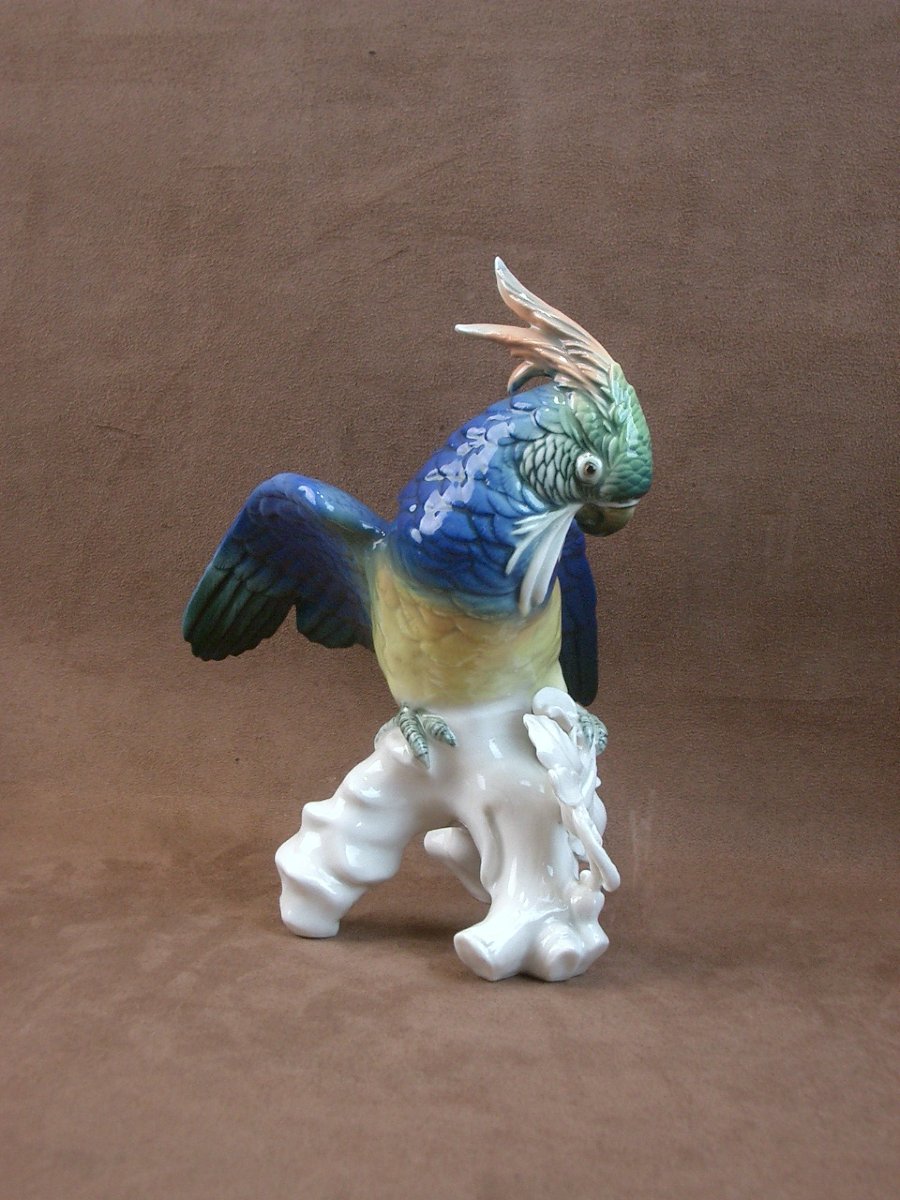 Important oiseau Perroquet en porcelaine de Saxe Karl Ens-photo-1