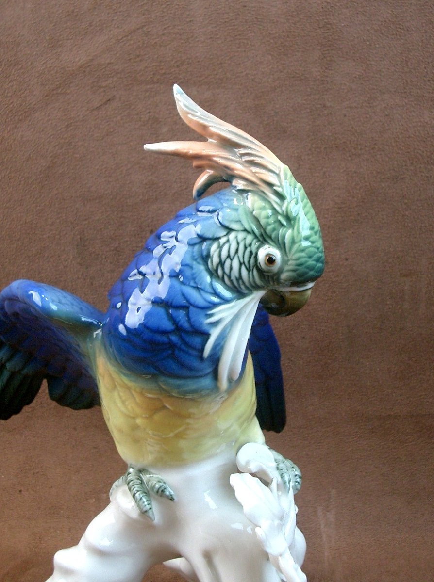 Important oiseau Perroquet en porcelaine de Saxe Karl Ens-photo-2