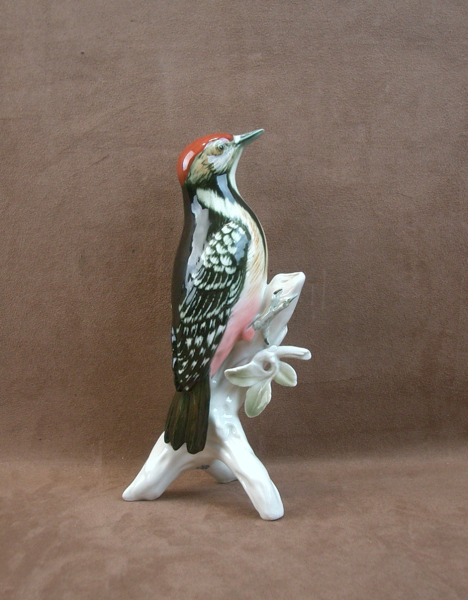 Important Great Spotted Woodpecker Bird In Saxon Porcelain By Karl Ens 