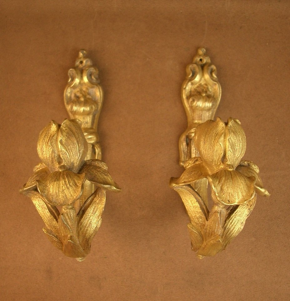 Pair Of Art Nouveau Bronze Curtain Tiebacks Decorated With Irises-photo-3