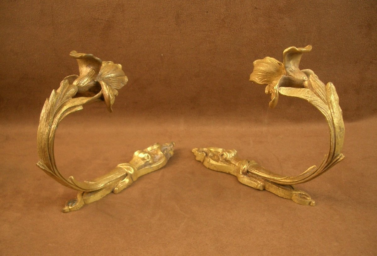Pair Of Art Nouveau Bronze Curtain Tiebacks Decorated With Irises-photo-2