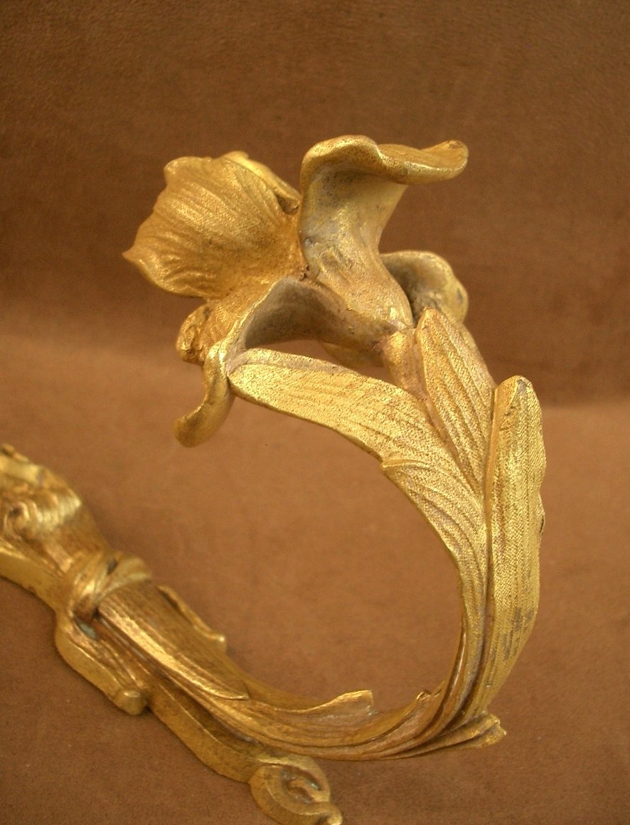 Pair Of Art Nouveau Bronze Curtain Tiebacks Decorated With Irises-photo-3