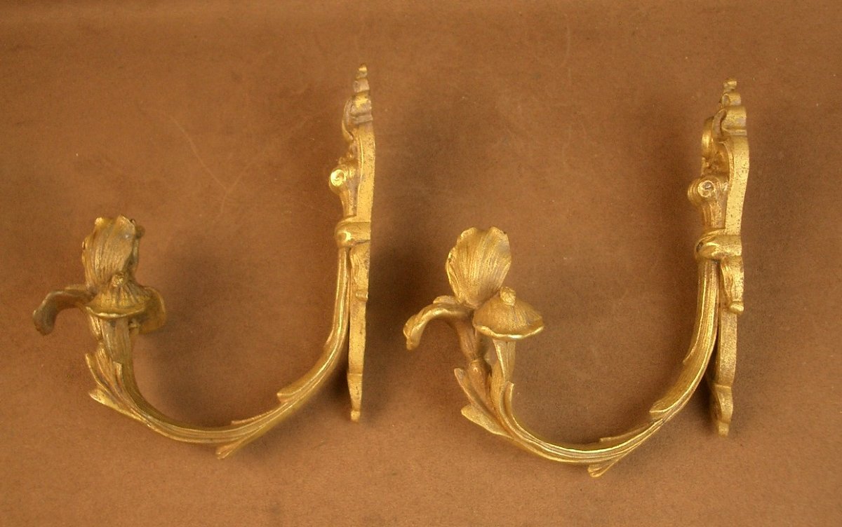Pair Of Art Nouveau Bronze Curtain Tiebacks Decorated With Irises-photo-7